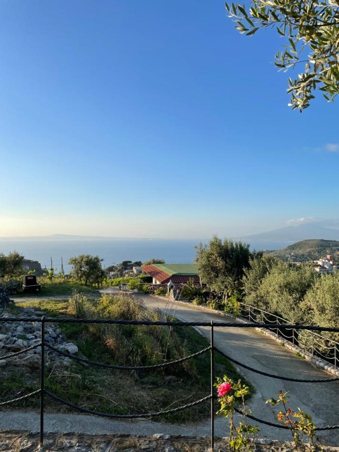 Loren House, Relaxing Location With Seaview Massa Lubrense Zewnętrze zdjęcie